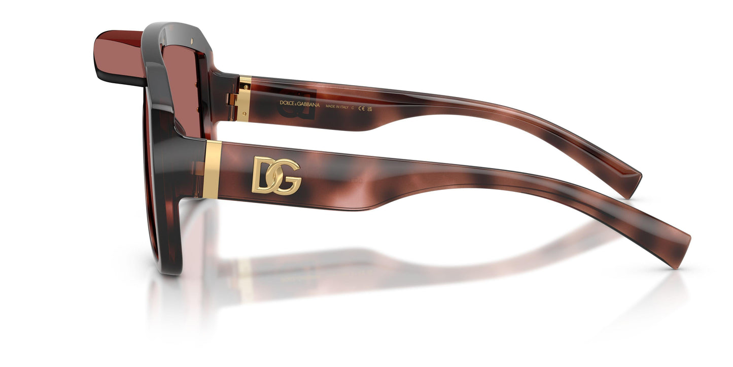 Dolse & Gabana  6205 Sunglasses