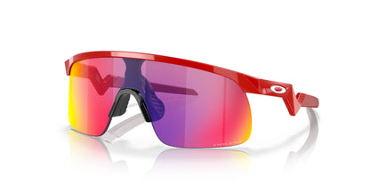 Oakley Resistor 9010 Sunglasses