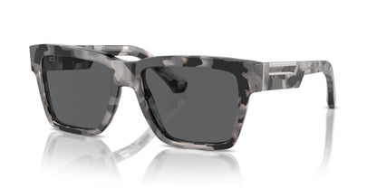 Dolse & Gabana  4465F Sunglasses