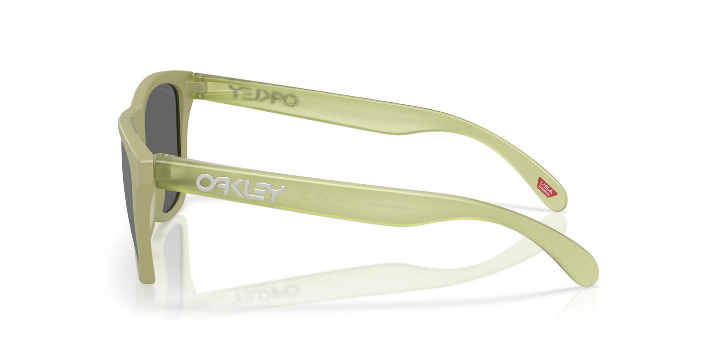 Oakley Frogskins 9245 Sunglasses