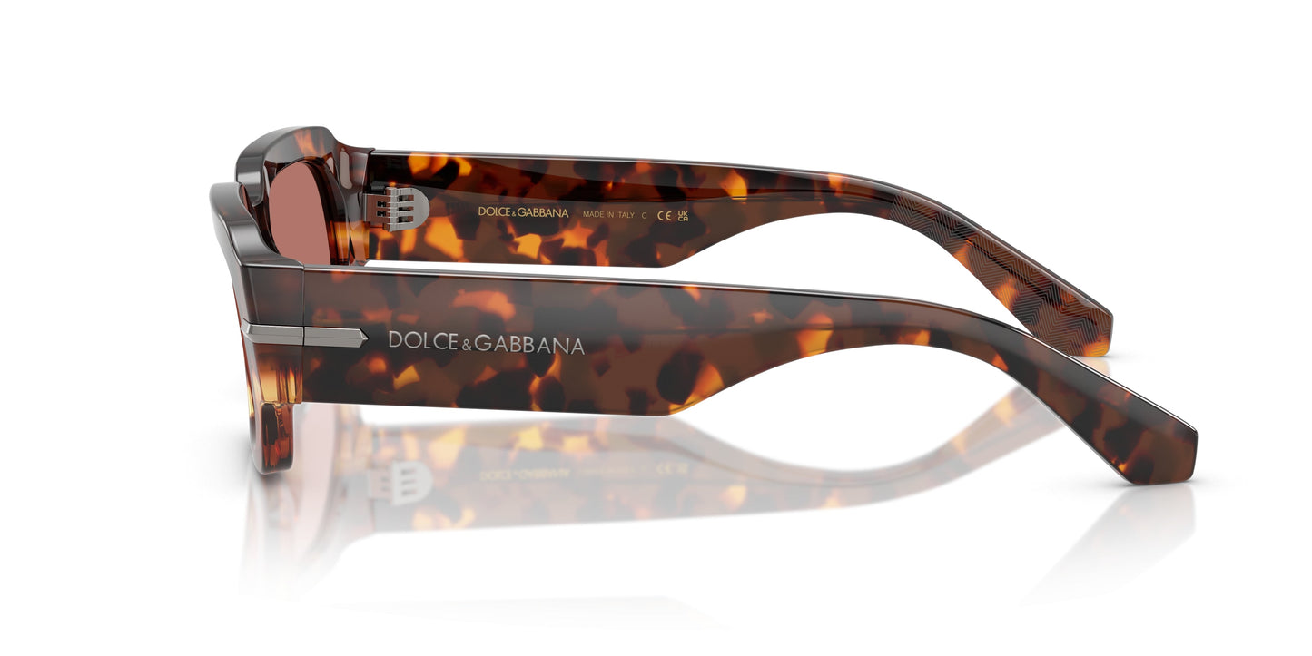 Dolse & Gabana  4485 Sunglasses