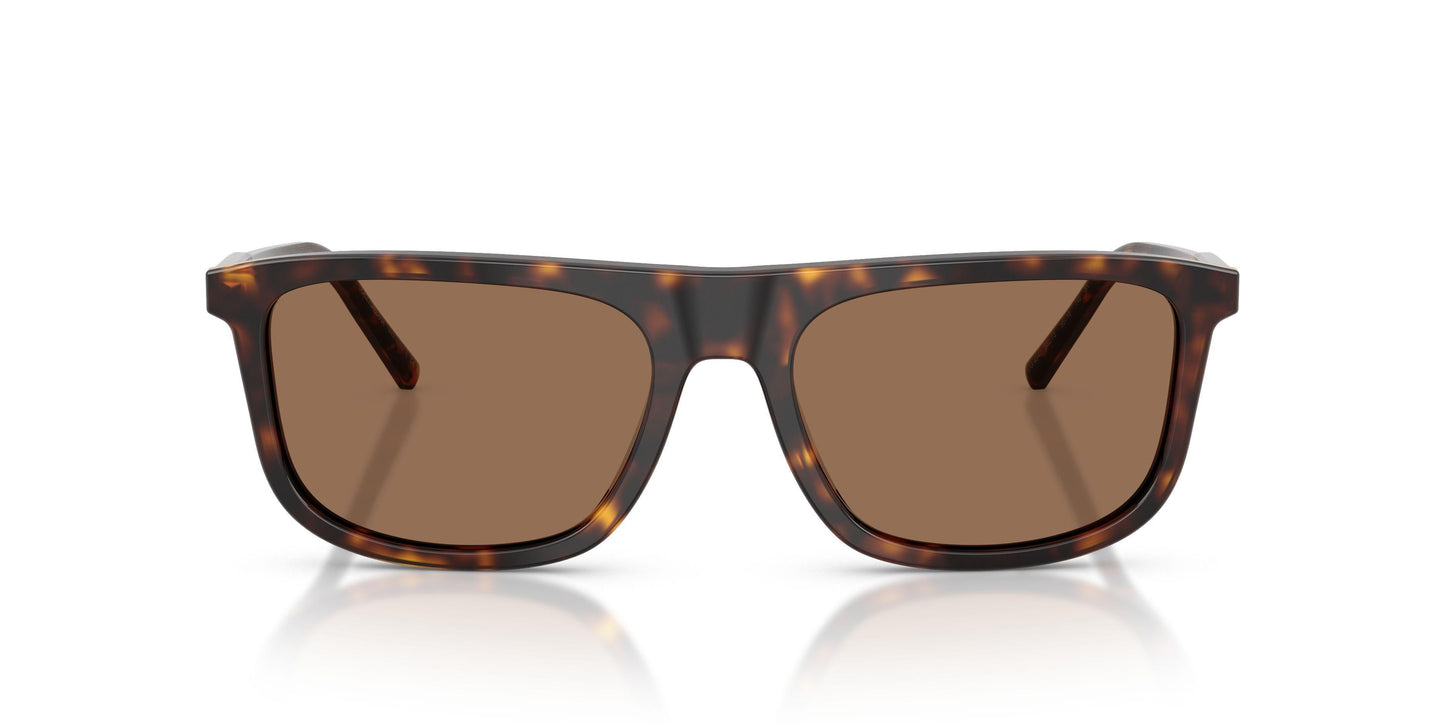 Dolse & Gabana  4542 Sunglasses