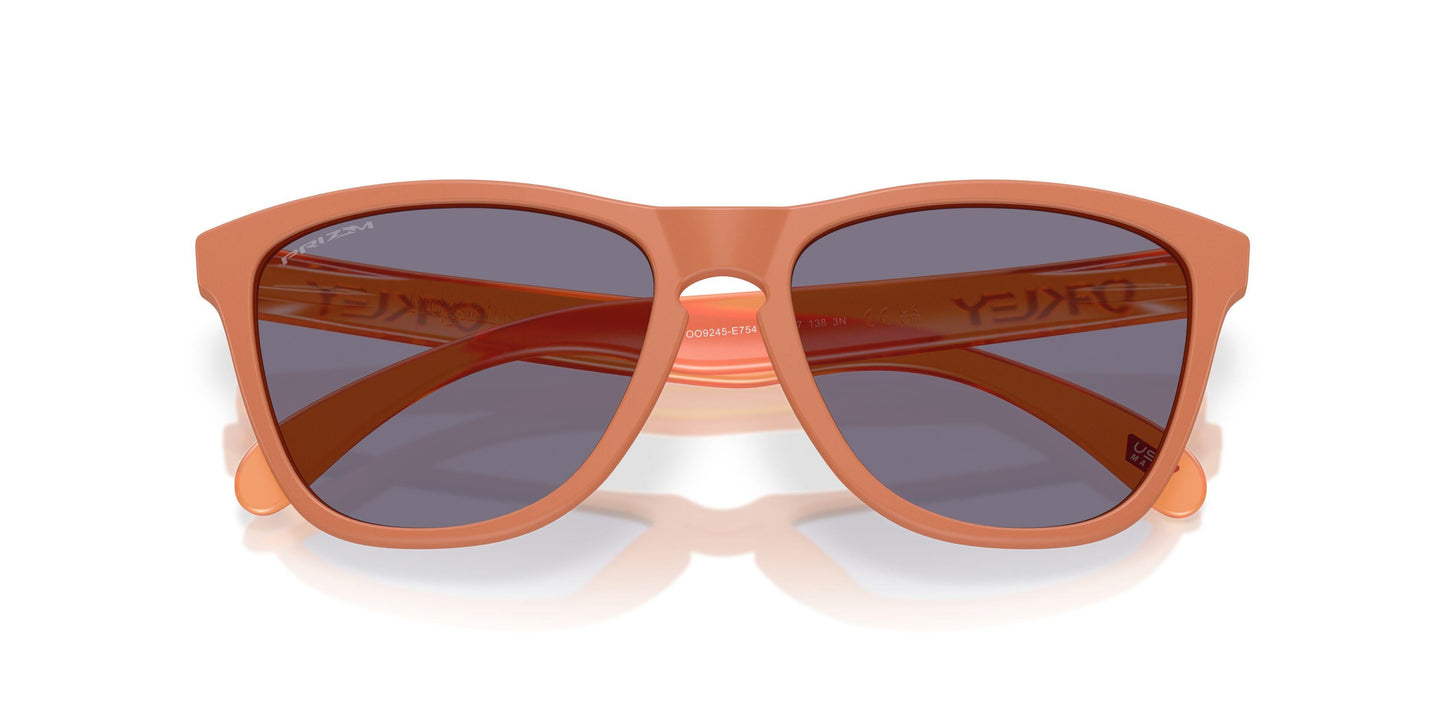 Oakley Frogskins 9245 Sunglasses
