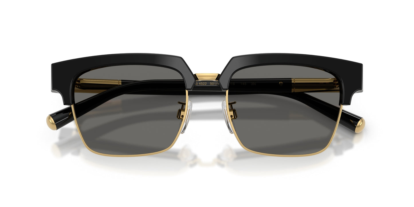 Dolse & Gabana  4522 Sunglasses