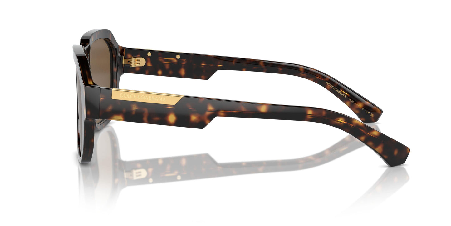 Dolse & Gabana  4464 Sunglasses