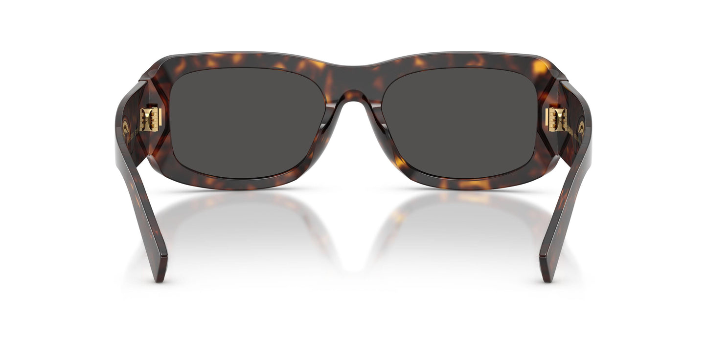 Dolse & Gabana  4503 Sunglasses