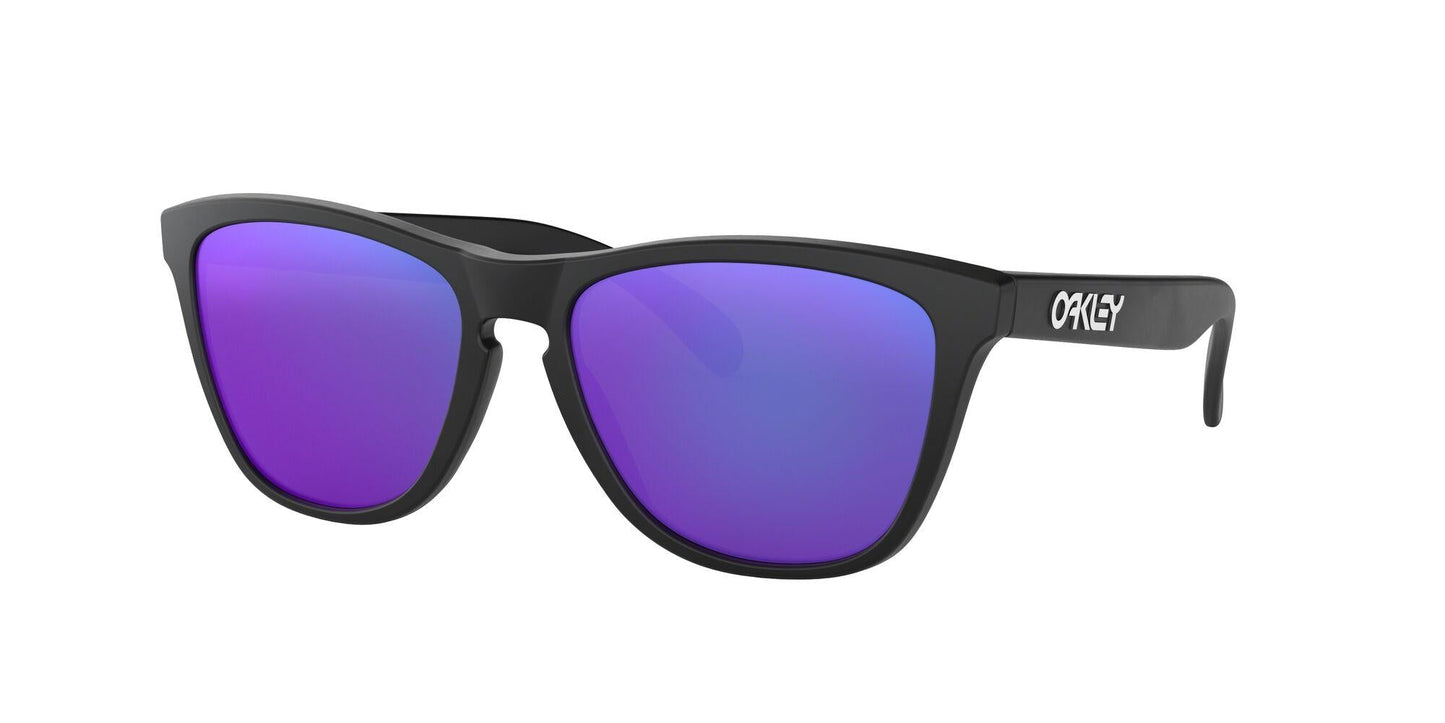 Oakley Frogskins 9013 Sunglasses