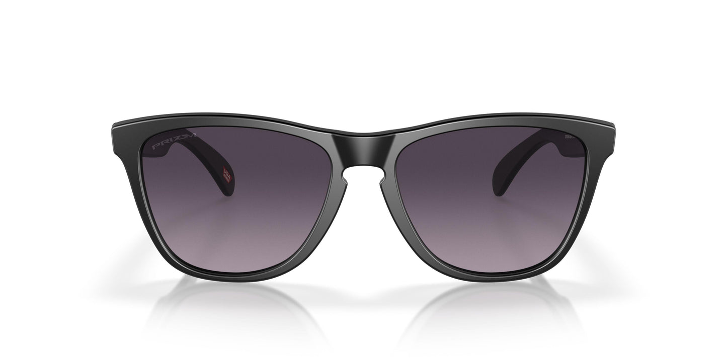 Oakley Frogskins 9245 Sunglasses