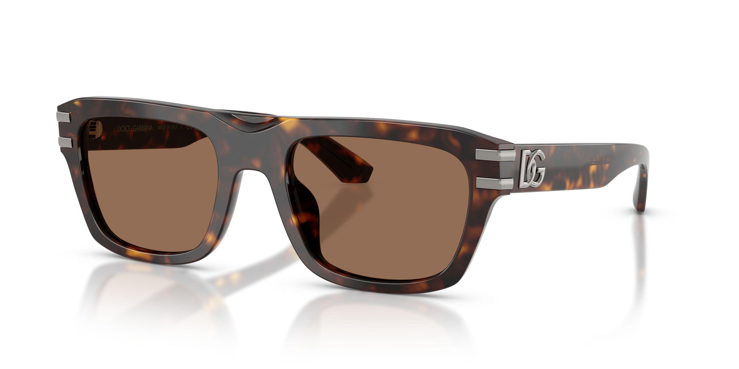 Dolse & Gabana  4496 Sunglasses