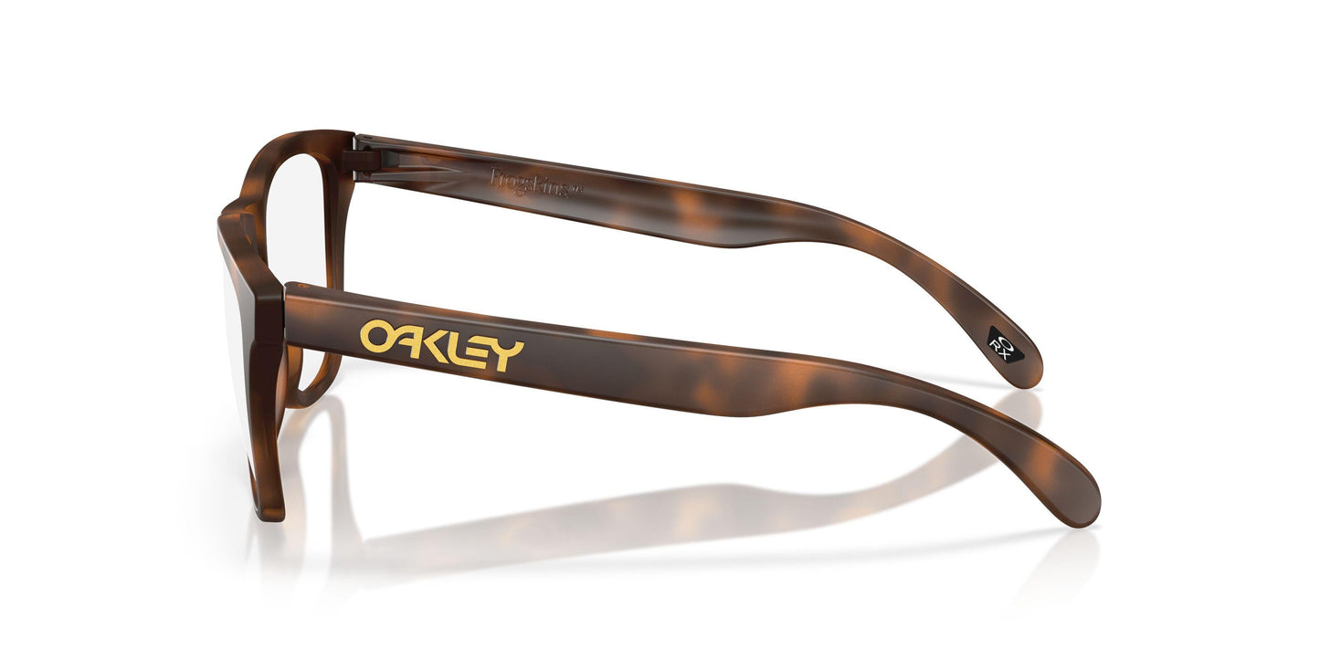 Oakley Frogskins Rx A 8137A Eyeglasses