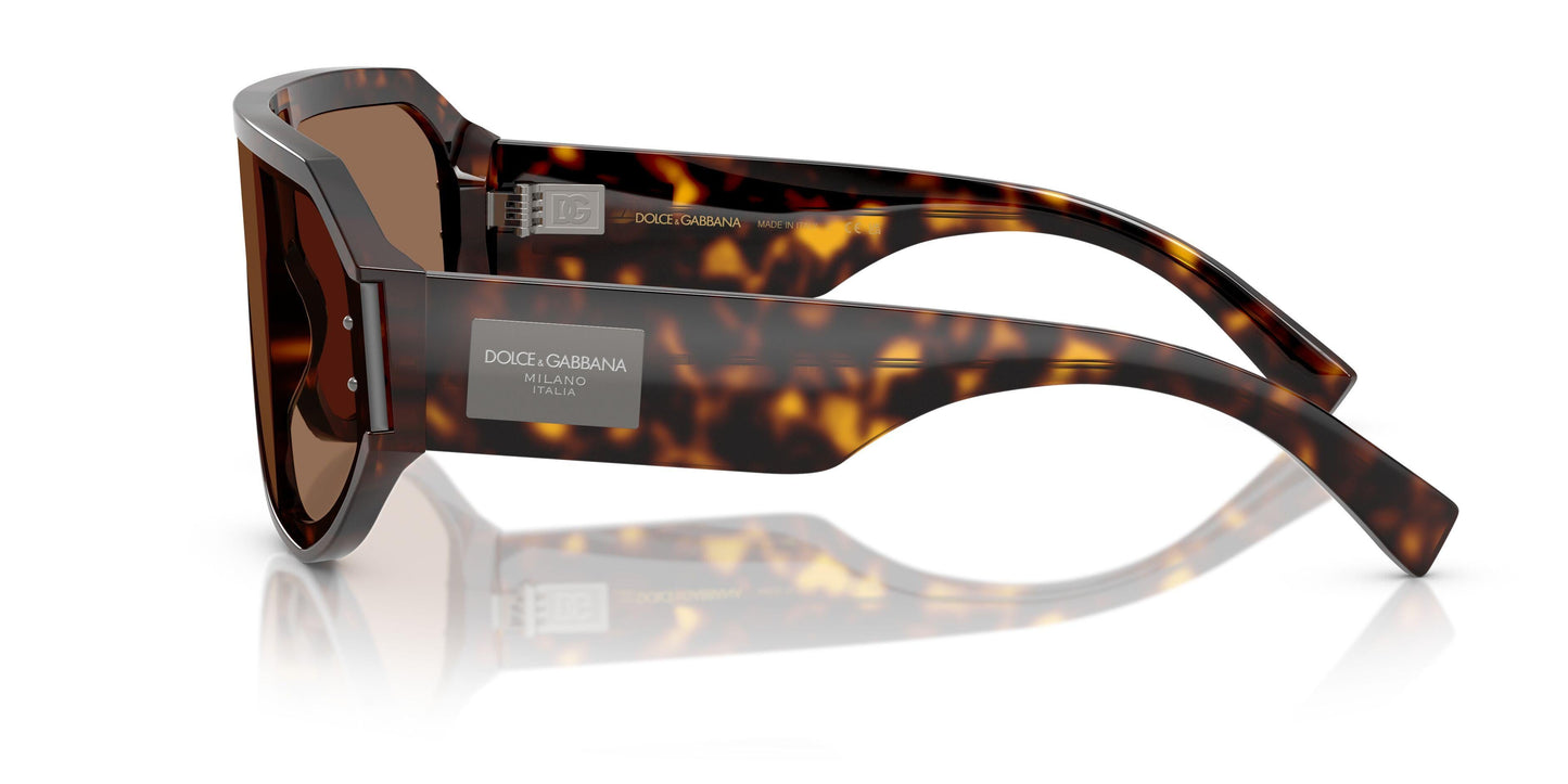 Dolse & Gabana  4481F Sunglasses
