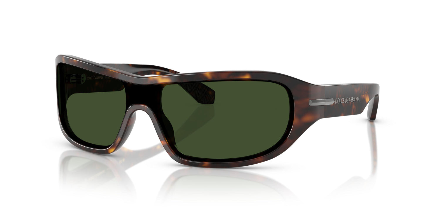 Dolse & Gabana  4486 Sunglasses