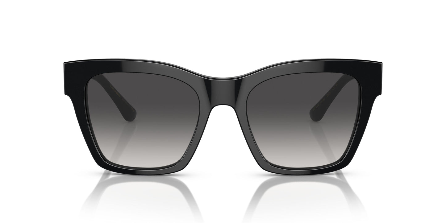 Dolse & Gabana  4384 Sunglasses