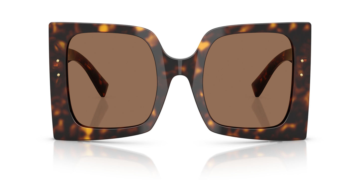 Dolse & Gabana  4490 Sunglasses