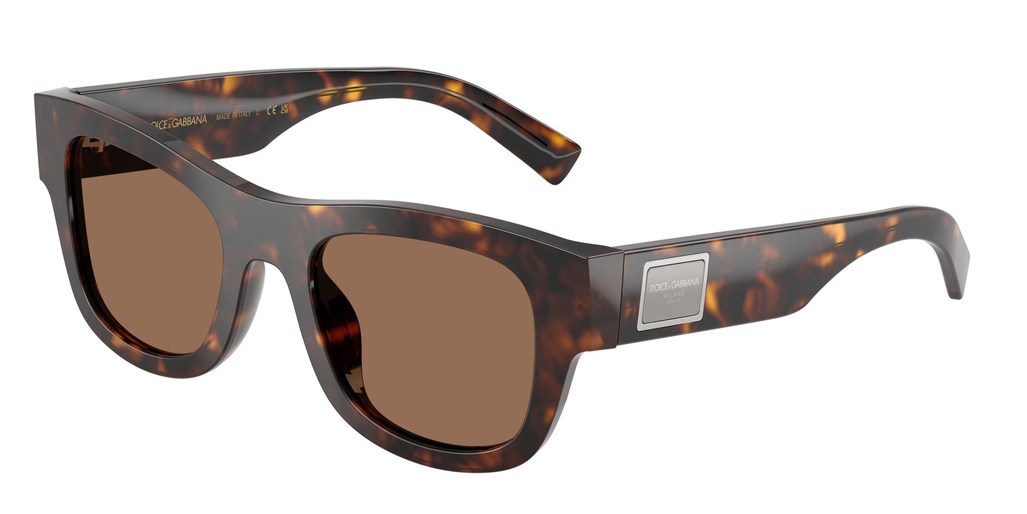 Dolse & Gabana  4509 Sunglasses