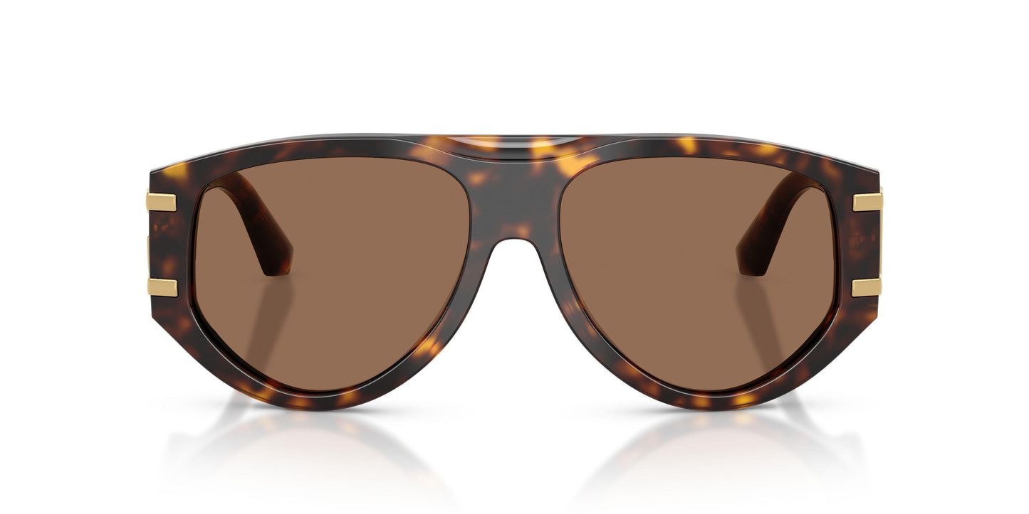 Dolse & Gabana  4499 Sunglasses