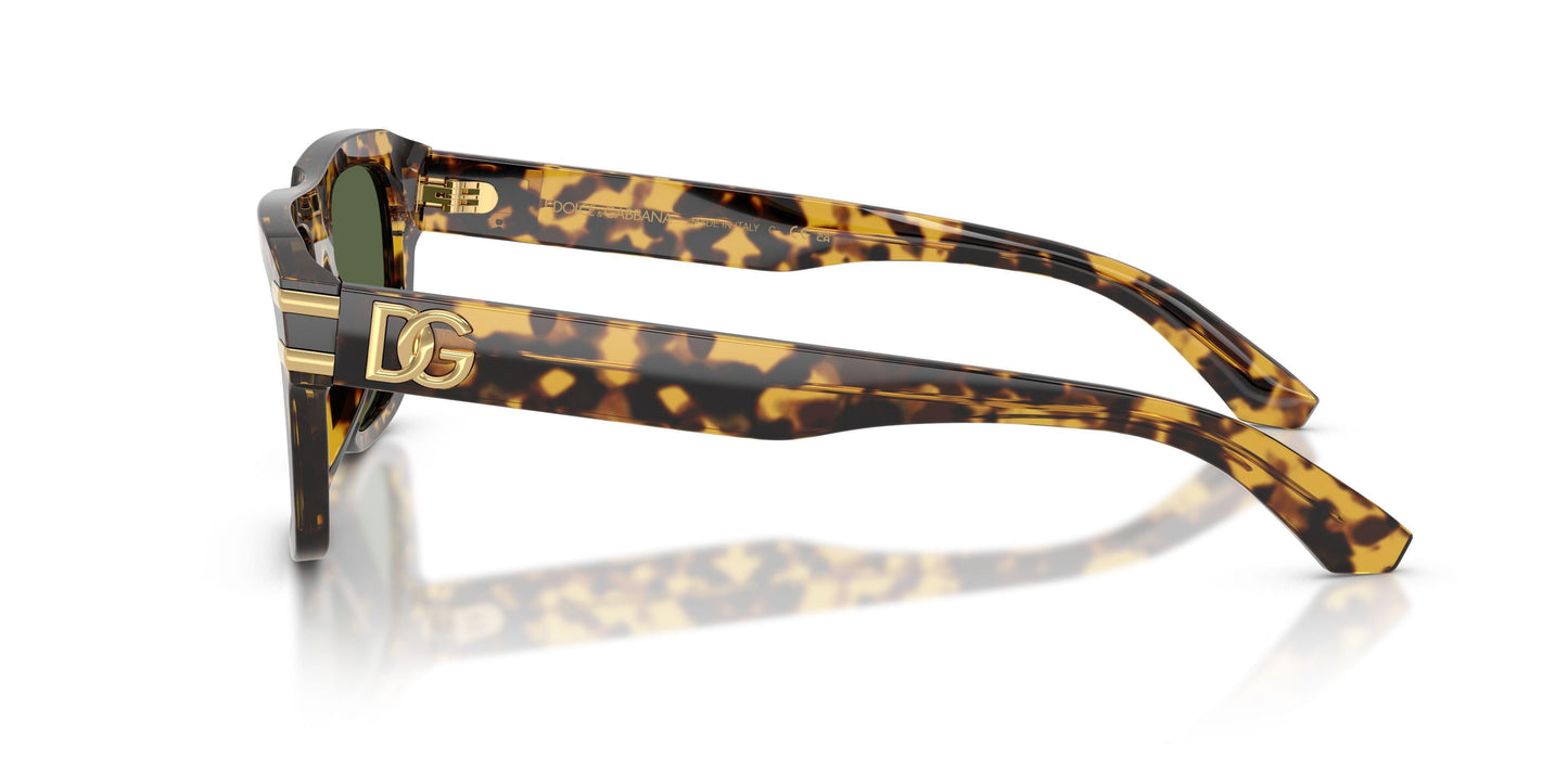 Dolse & Gabana  4496 Sunglasses