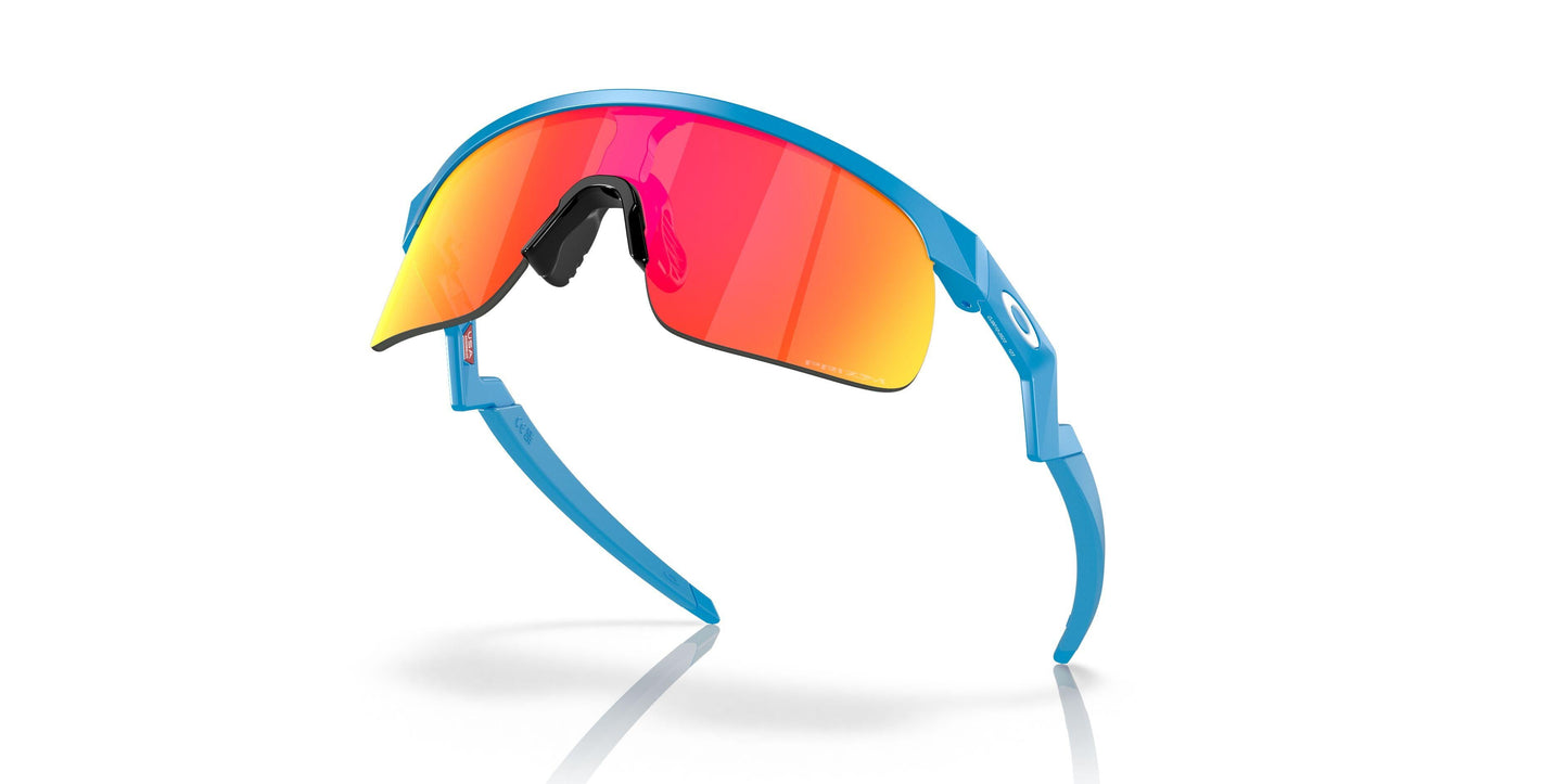 Oakley Resistor 9010 Sunglasses
