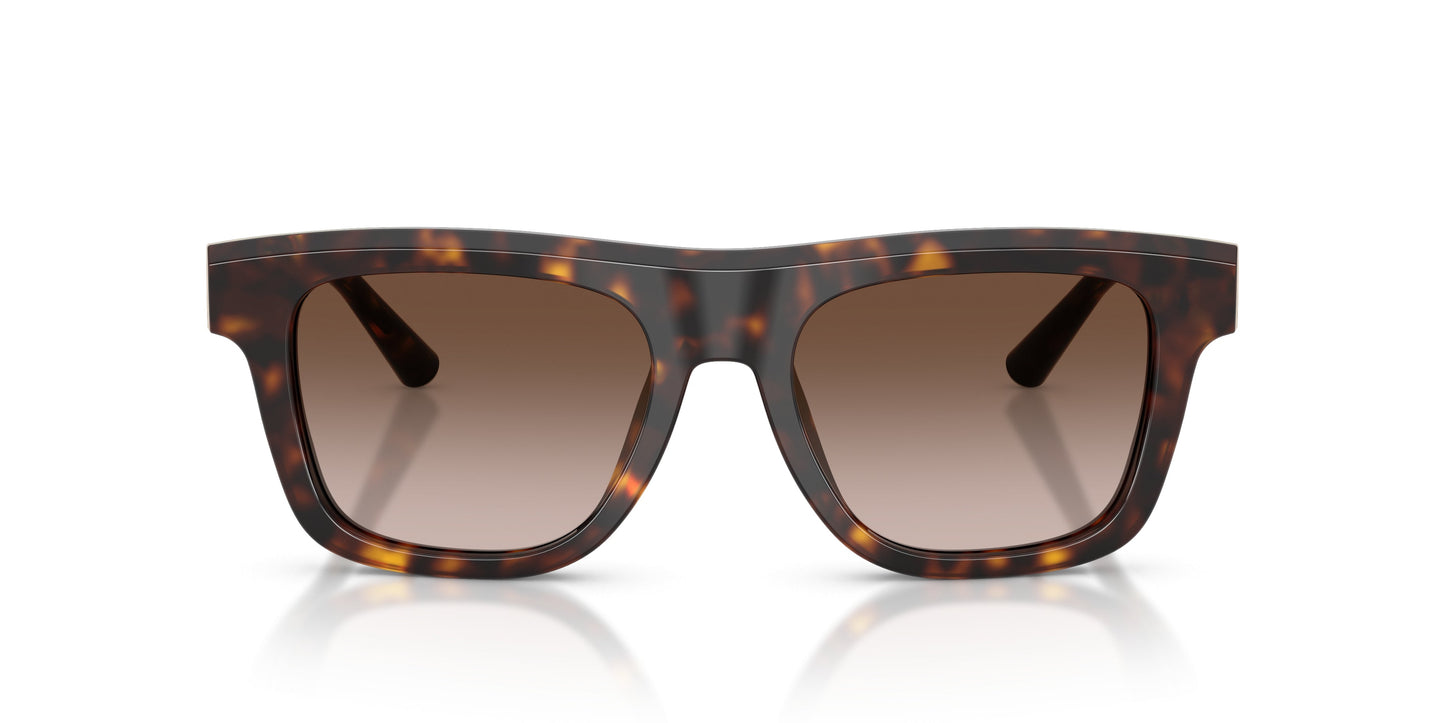 Dolse & Gabana  4521 Sunglasses