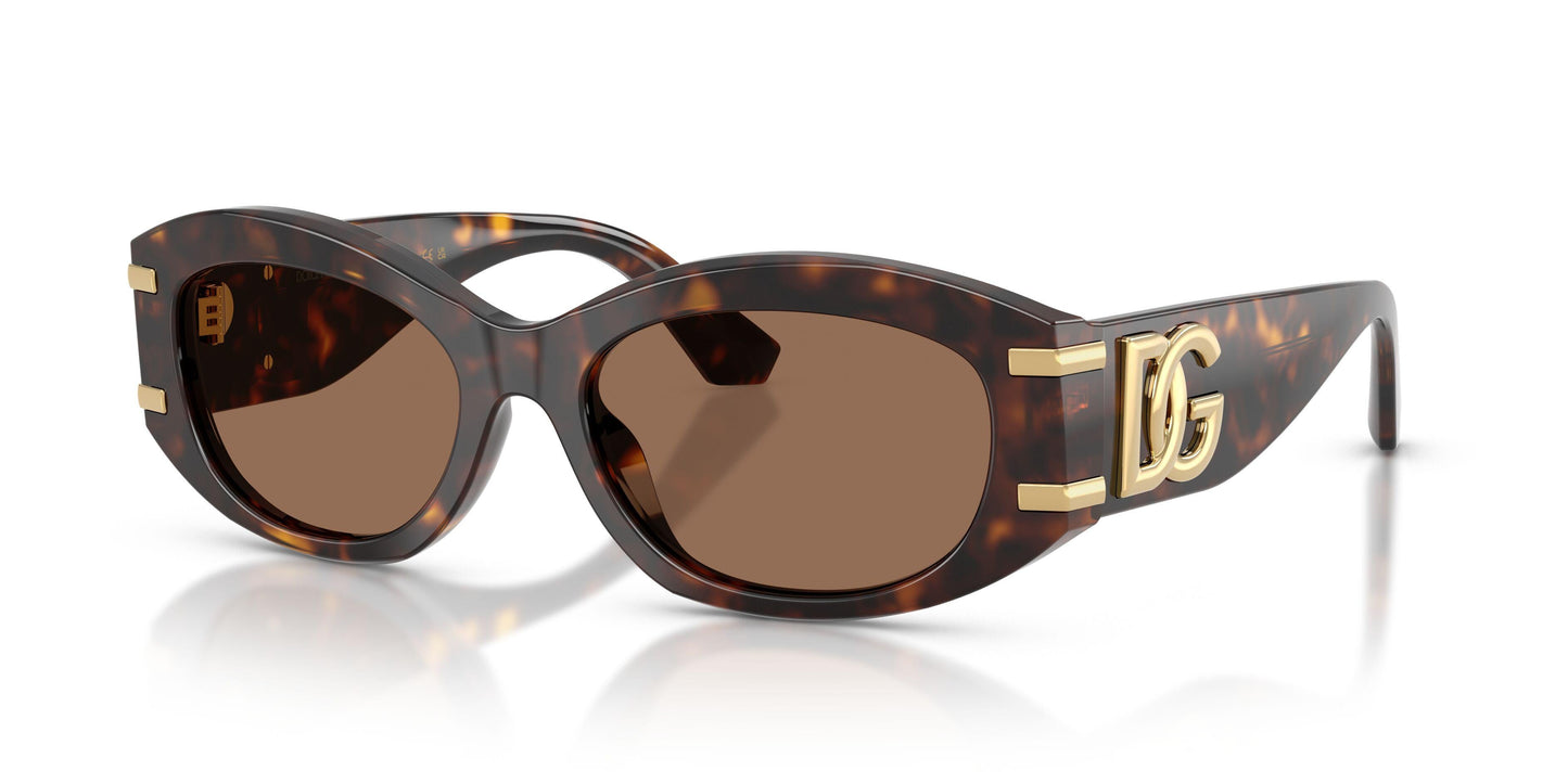 Dolse & Gabana  4502 Sunglasses