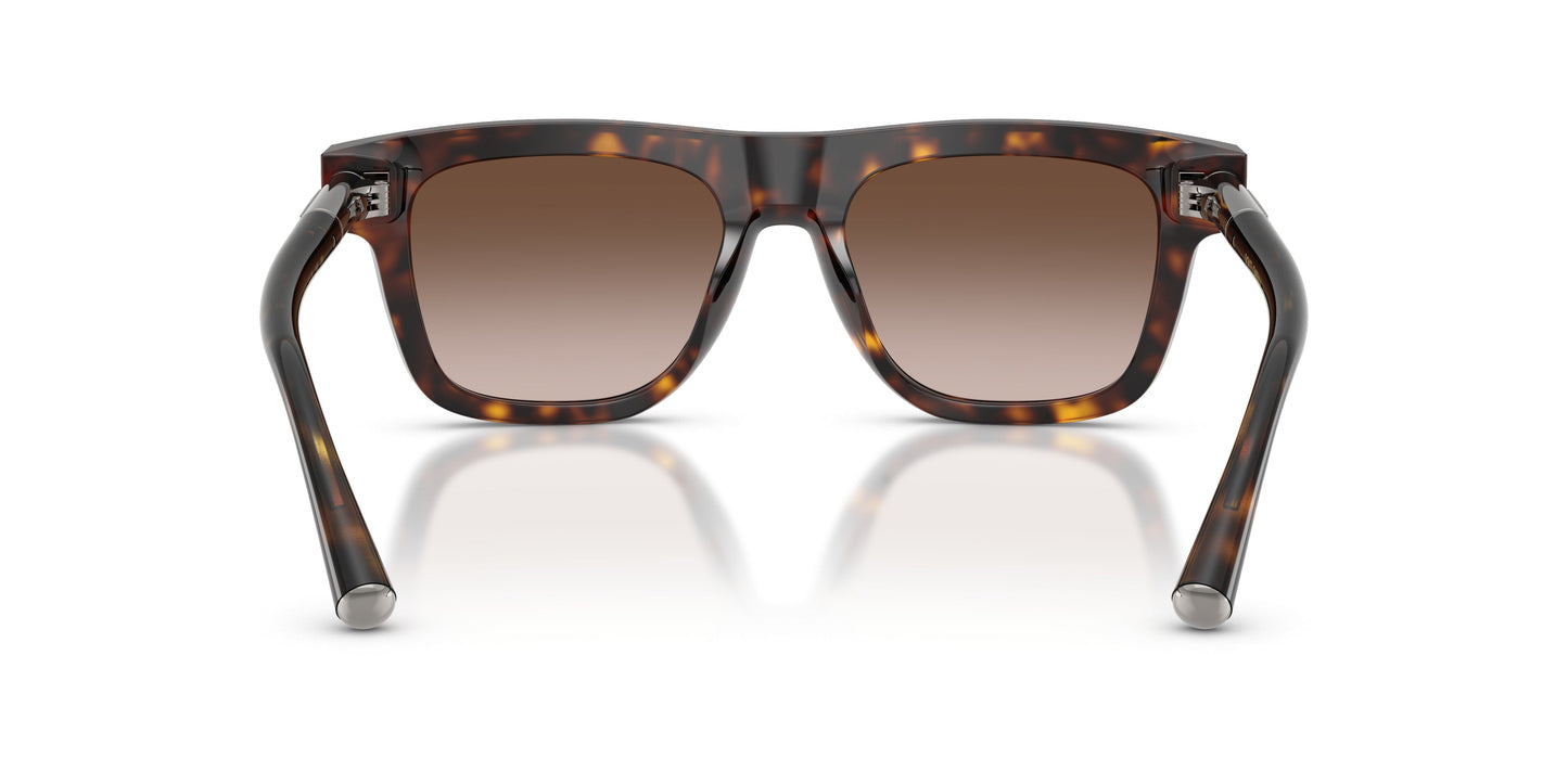 Dolse & Gabana  4521 Sunglasses