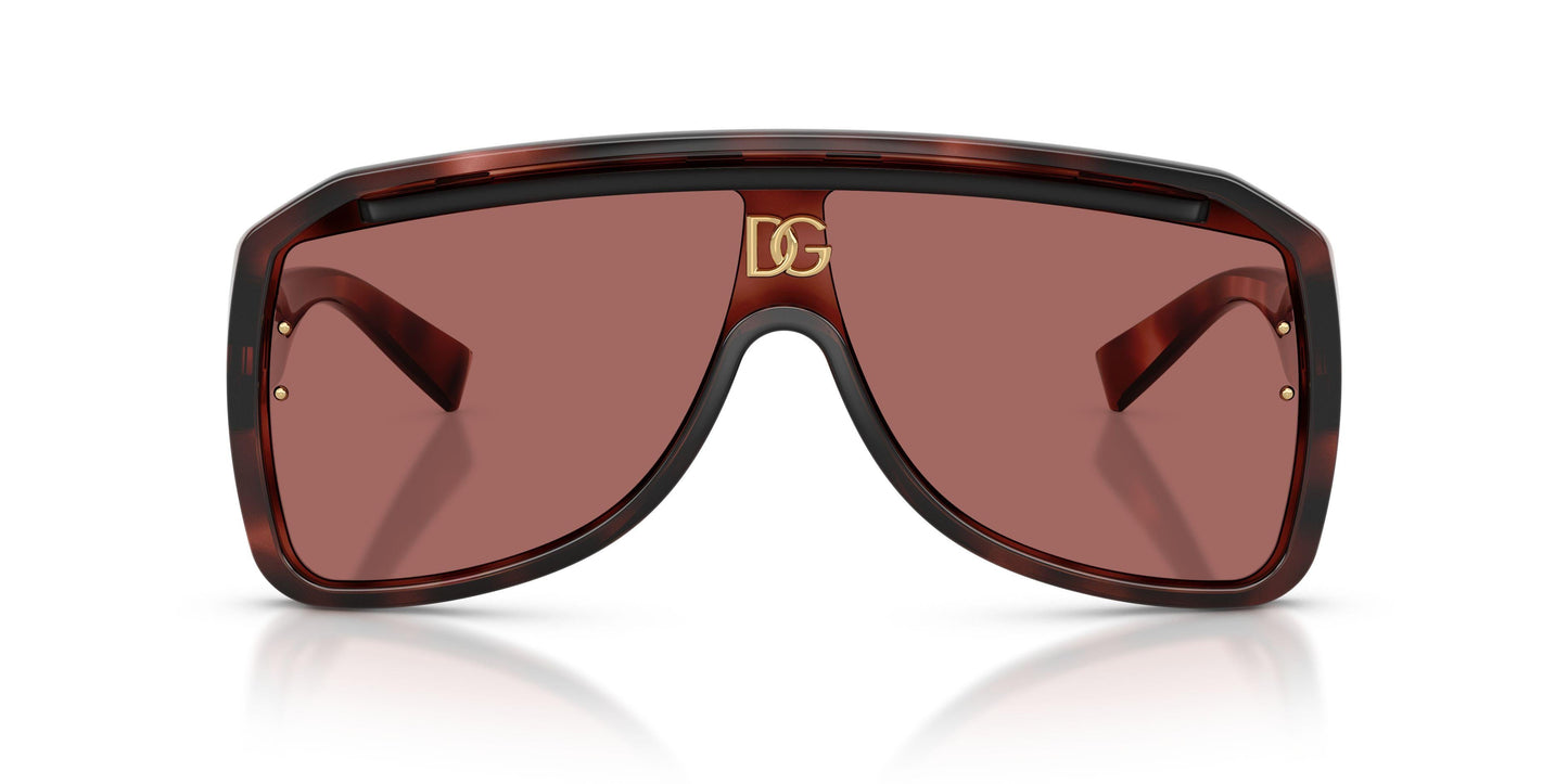 Dolse & Gabana  6205 Sunglasses