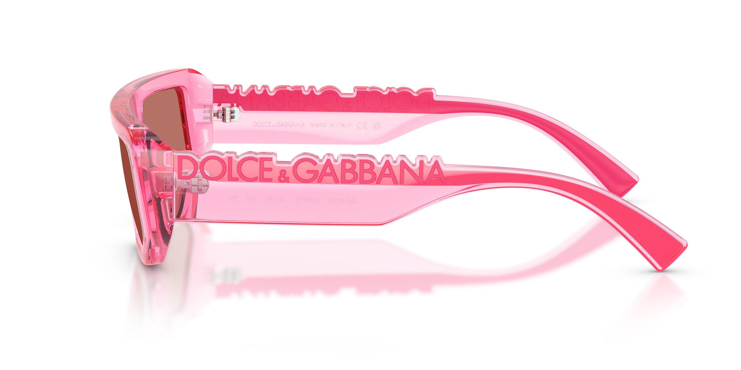 Dolse & Gabana  6203 Sunglasses
