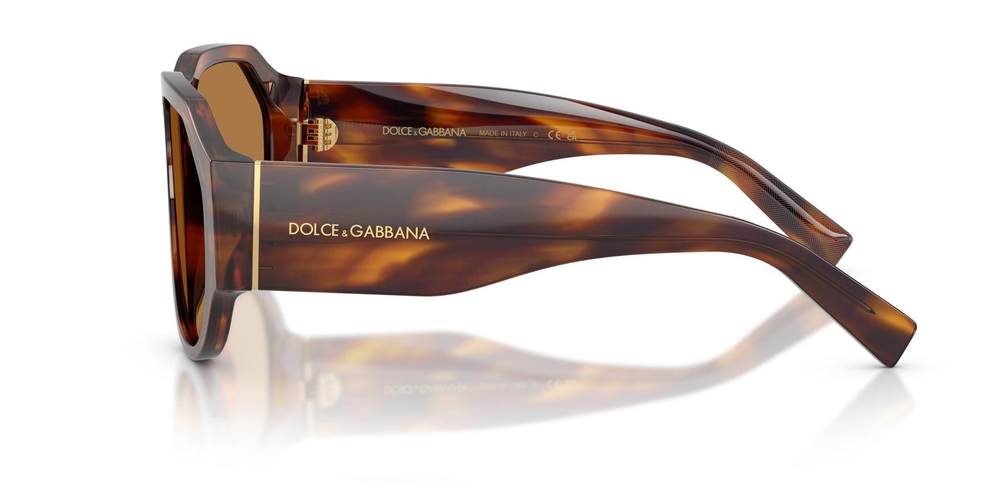Dolse & Gabana  4504 Sunglasses