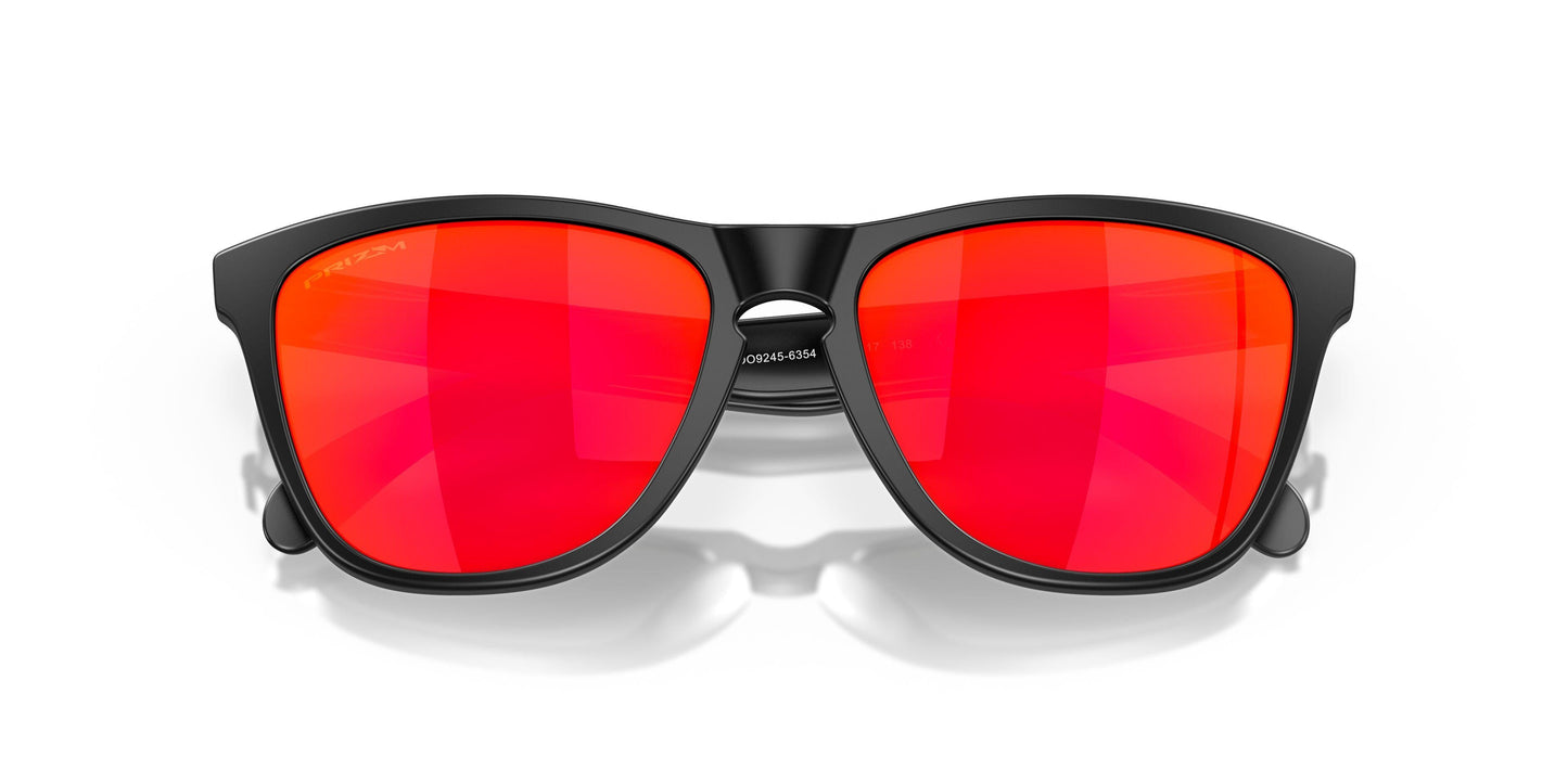 Oakley Frogskins 9245 Sunglasses