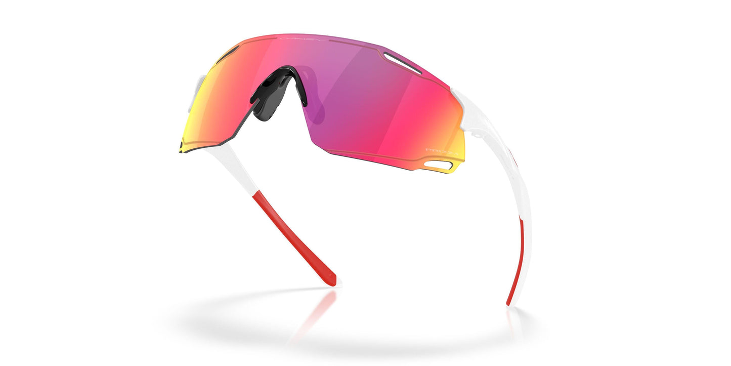 Oakley Cybr Dyno 9513D Sunglasses
