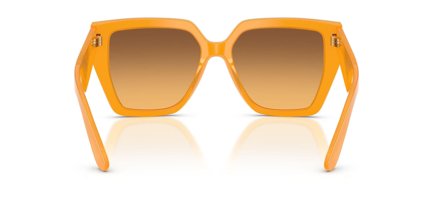 Dolse & Gabana  4438 Sunglasses