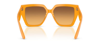 Dolse & Gabana  4438 Sunglasses