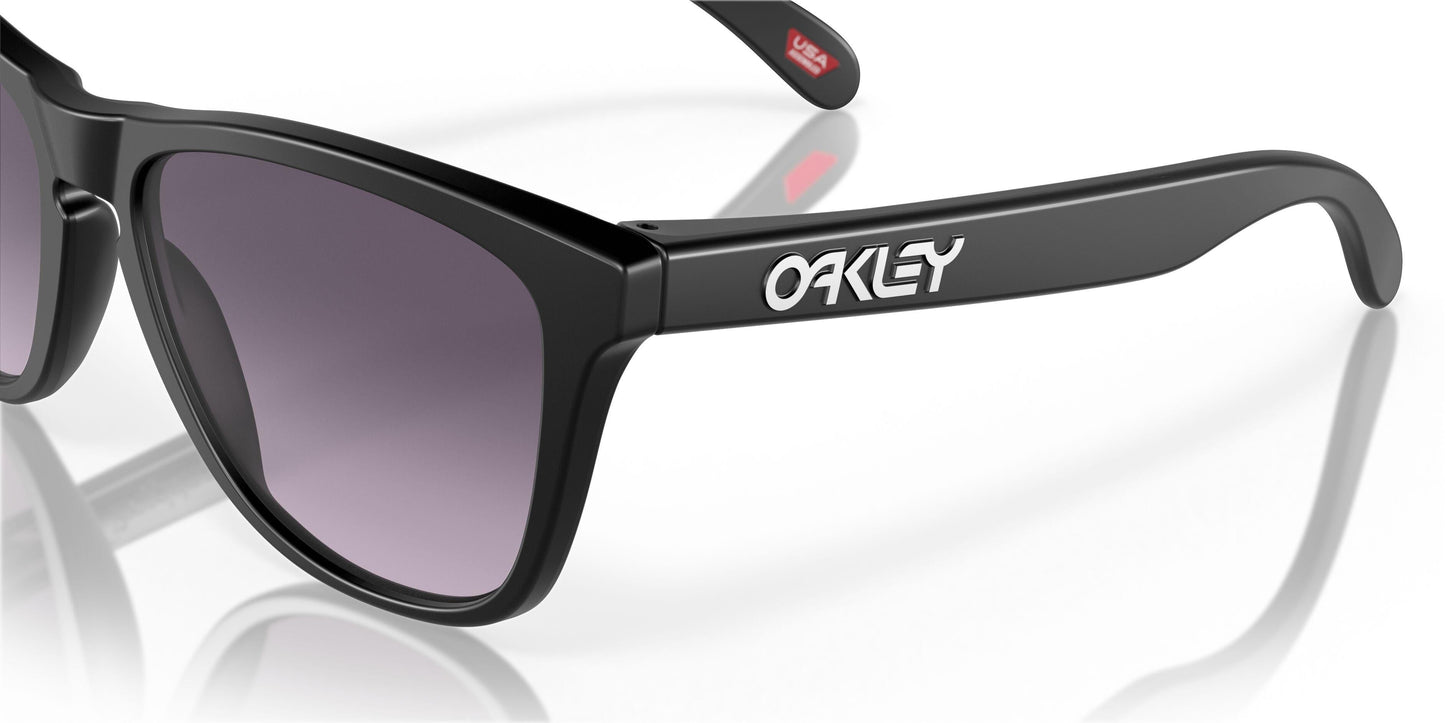 Oakley Frogskins 9245 Sunglasses
