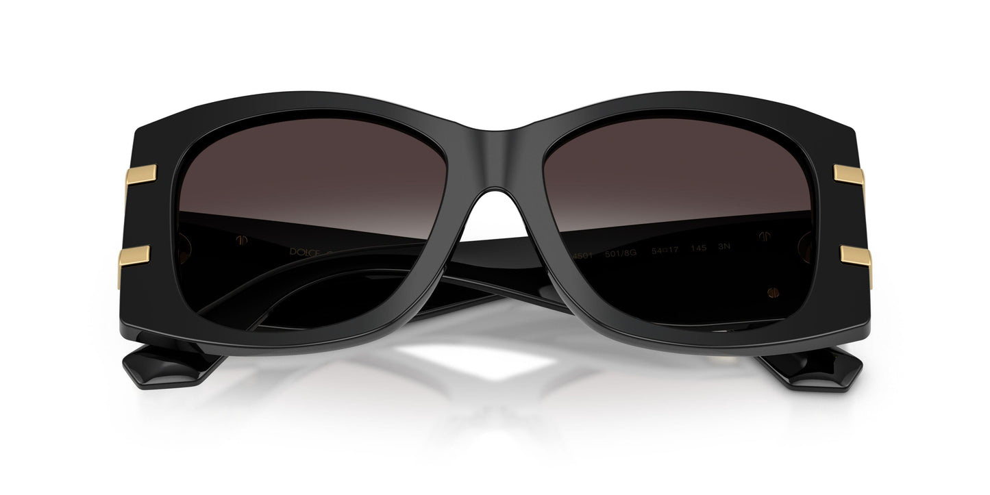 Dolse & Gabana  4501 Sunglasses