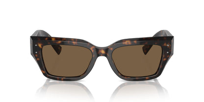 Dolse & Gabana  4462 Sunglasses