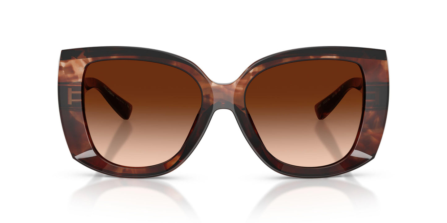 Dolse & Gabana  4495 Sunglasses