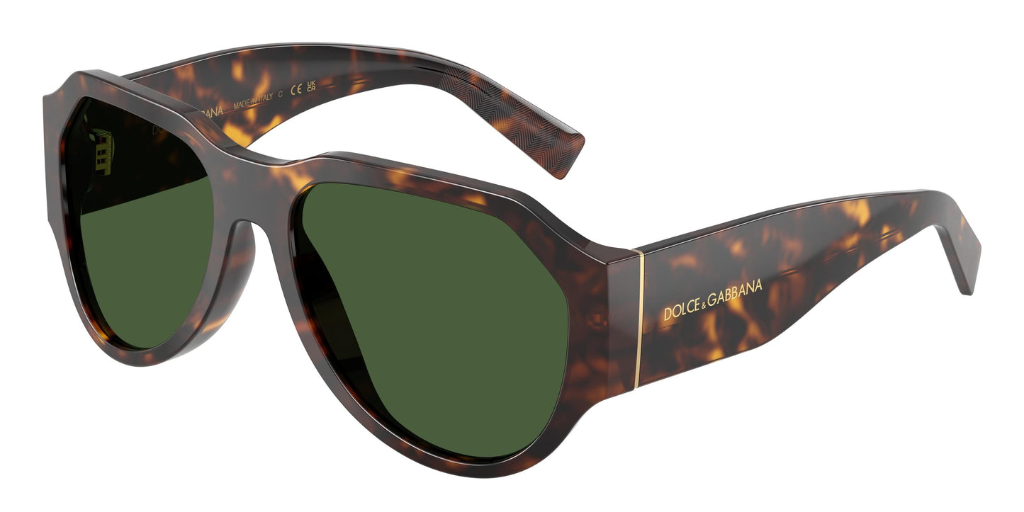Dolse & Gabana  4504 Sunglasses