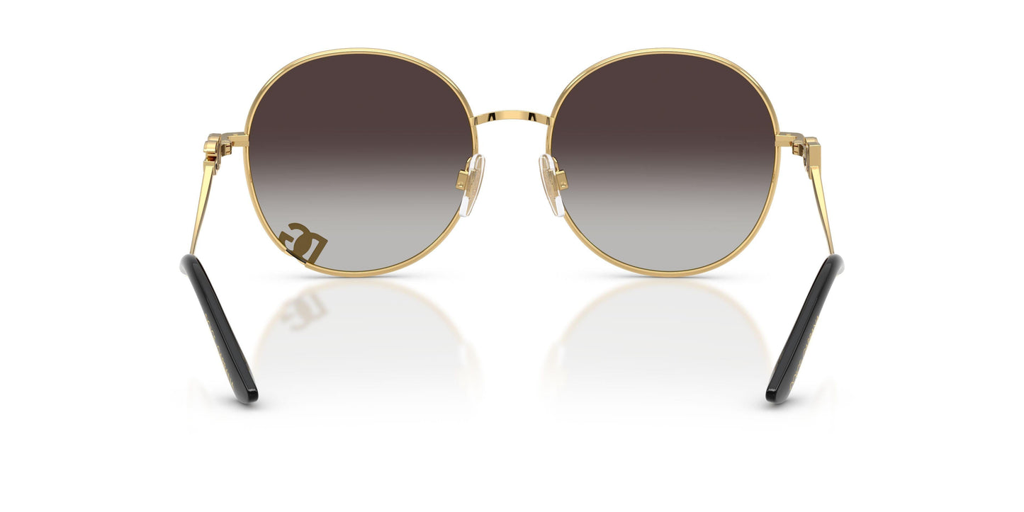 Dolse & Gabana  2324 Sunglasses