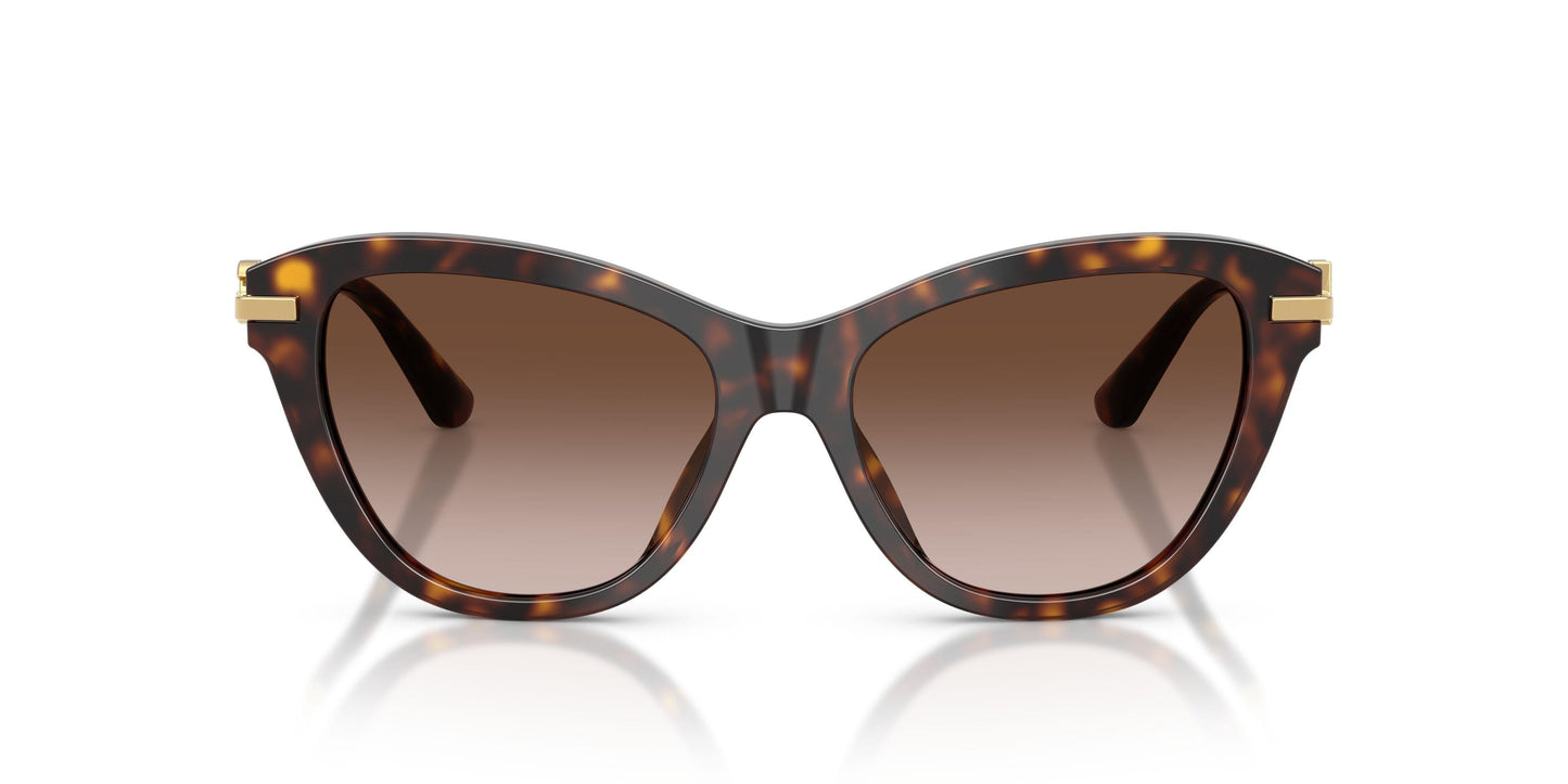 Dolse & Gabana  4534 Sunglasses