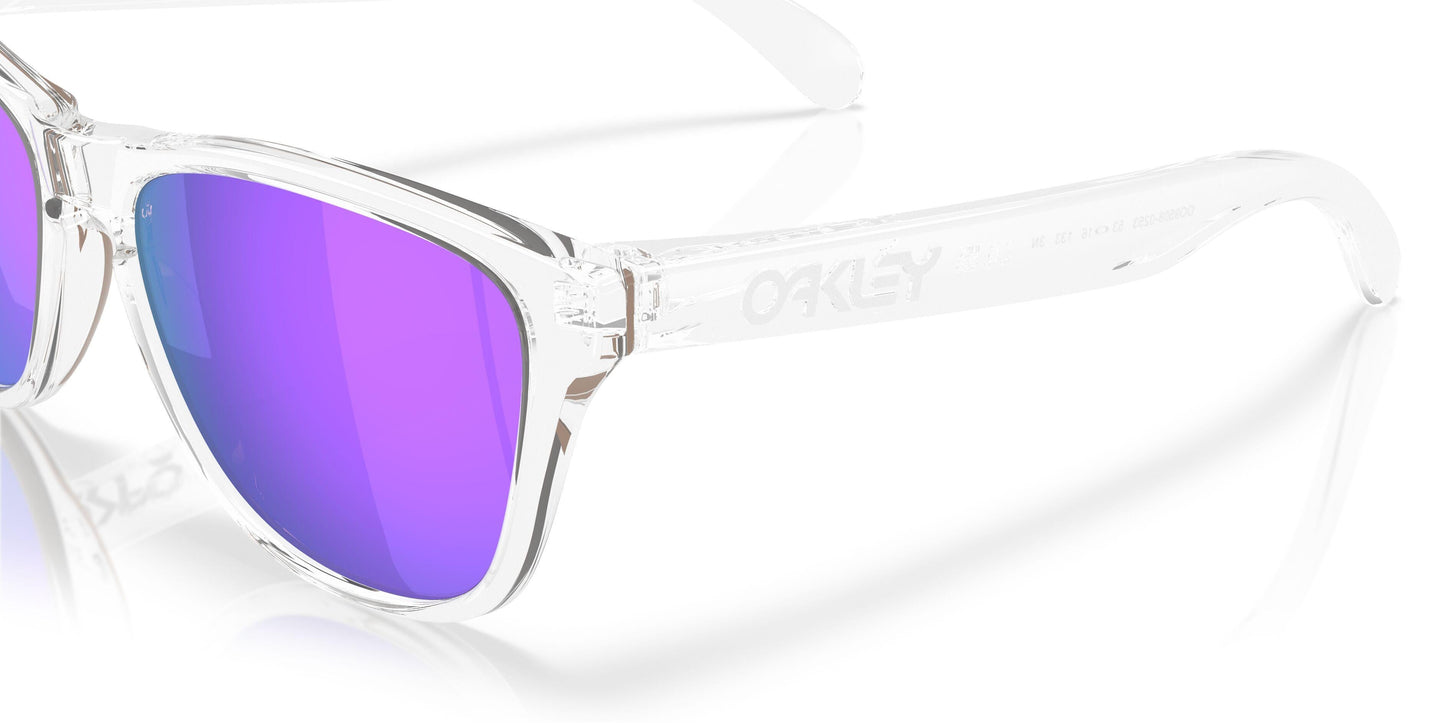 Oakley Frogskins S 9508 Sunglasses