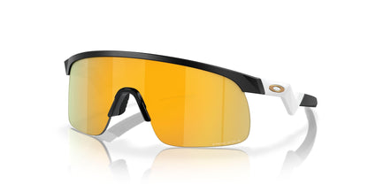 Oakley Resistor 9010 Sunglasses
