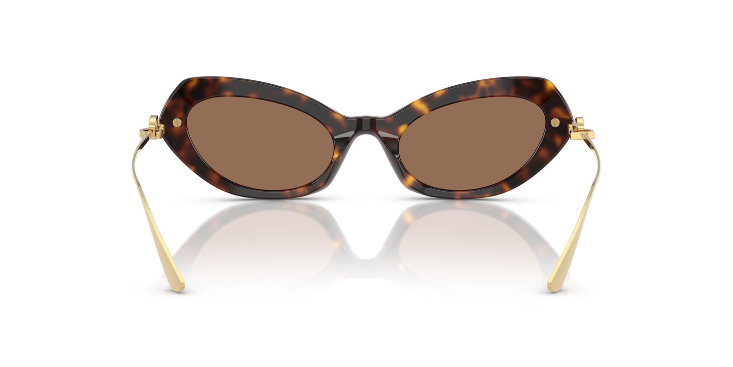 Dolse & Gabana  4473 Sunglasses