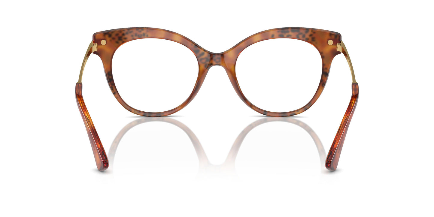 Dolse & Gabana  3392 Eyeglasses