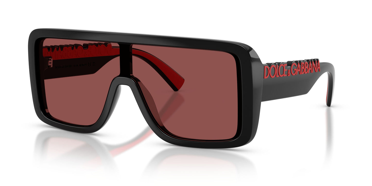 Dolse & Gabana  6204 Sunglasses
