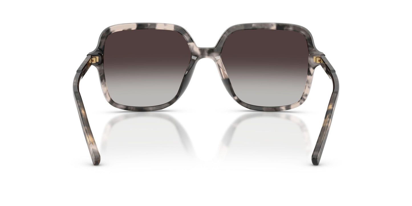 Dolse & Gabana  4539 Sunglasses
