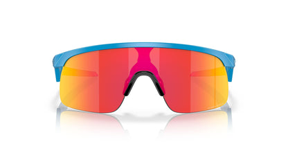 Oakley Resistor 9010 Sunglasses