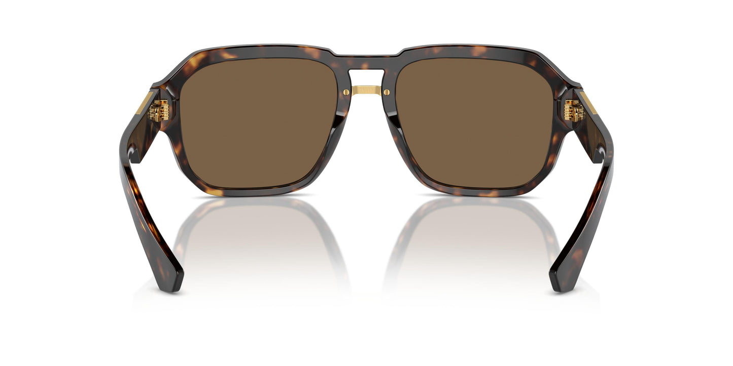 Dolse & Gabana  4464 Sunglasses