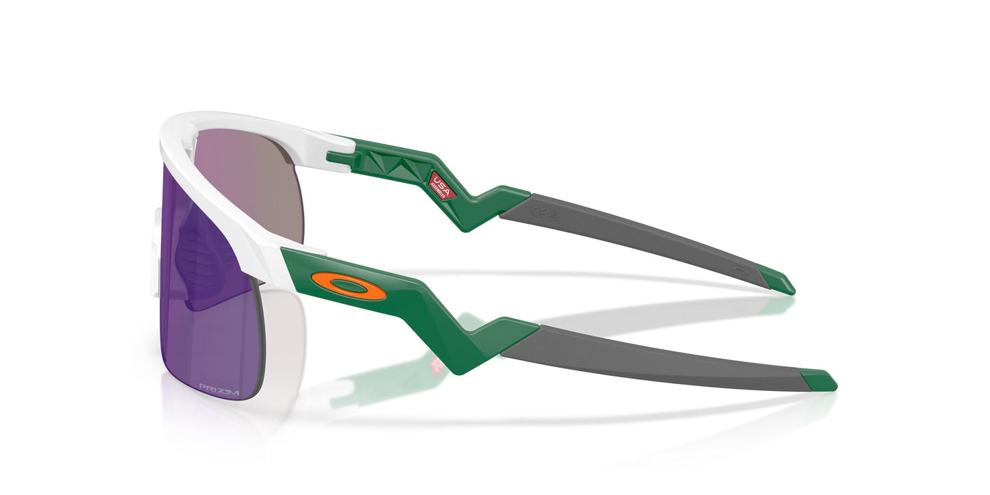 Oakley Resistor 9010 Sunglasses